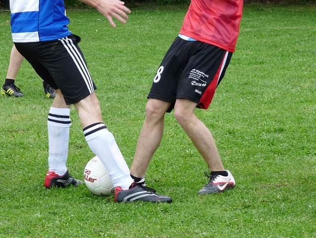 他们在赛季 他们在赛季